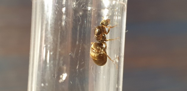 20190702_194839.jpg
