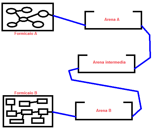 formicai collegati.png