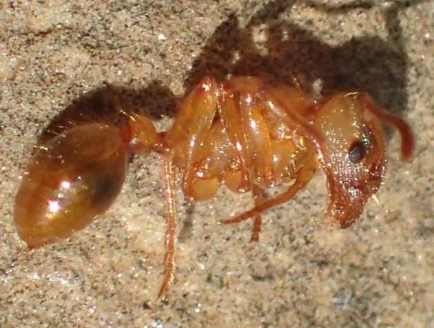 Temno.jpg