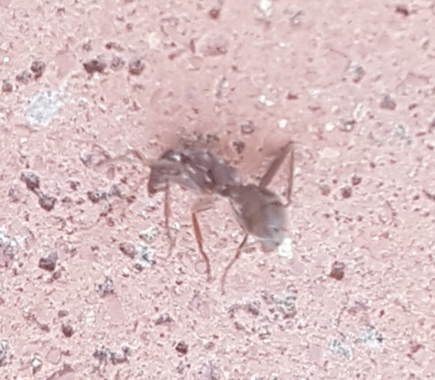 20190811_084701.jpg
