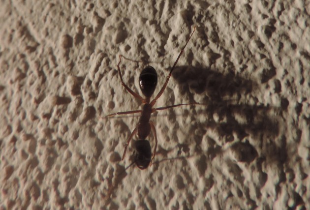 DSCN3055.JPG