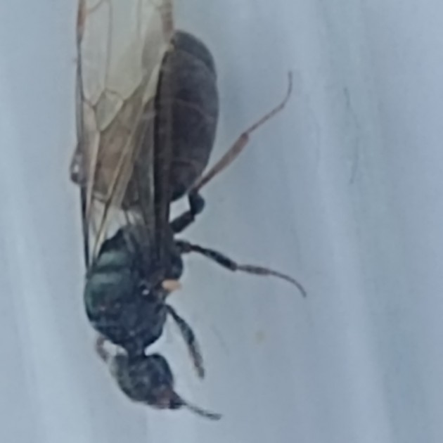 20190924_071438.jpg