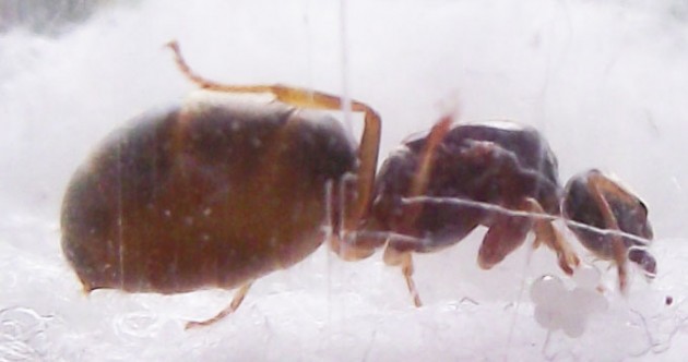 DSCF3787.JPG