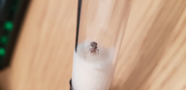 20191001_120800.jpg