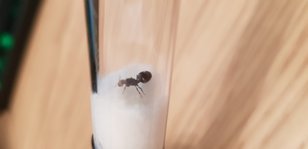 20191001_120753.jpg