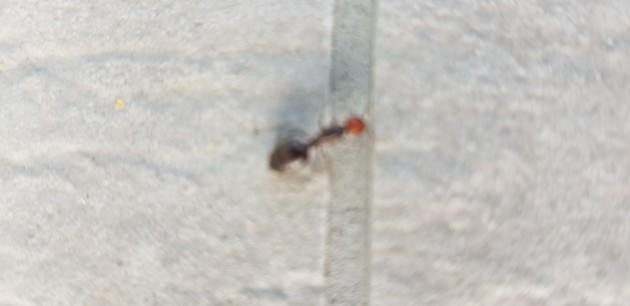 20191001_093135.jpg