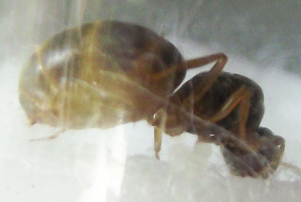 DSCF3789.JPG