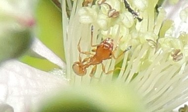 crop2.jpg