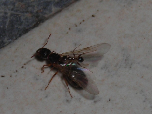RSCN1546.JPG