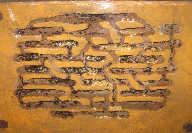 2019-03-07 16.03.21.jpg (715.57 KiB) Osservato 58537 volte 2019-03-07 16.03.21.jpg