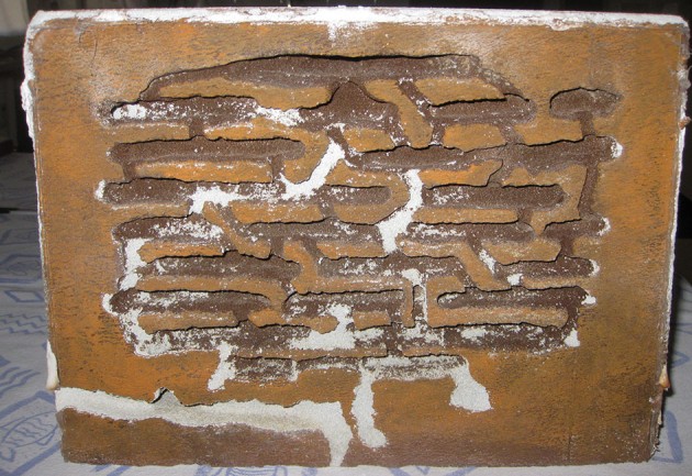 Messor Nido 06.jpg (261.94 KiB) Osservato 58537 volte Messor Nido 06.jpg