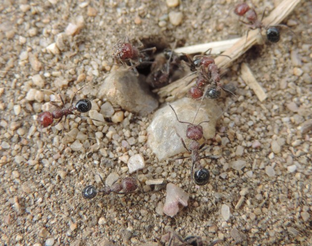 DSCN3393.JPG