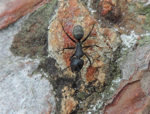 DSCN3639.JPG