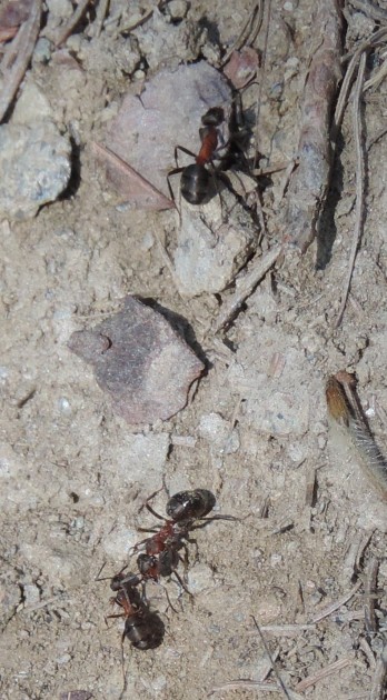 DSCN4182.JPG