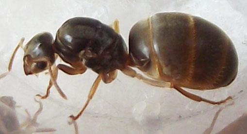 DSCF3792.JPG
