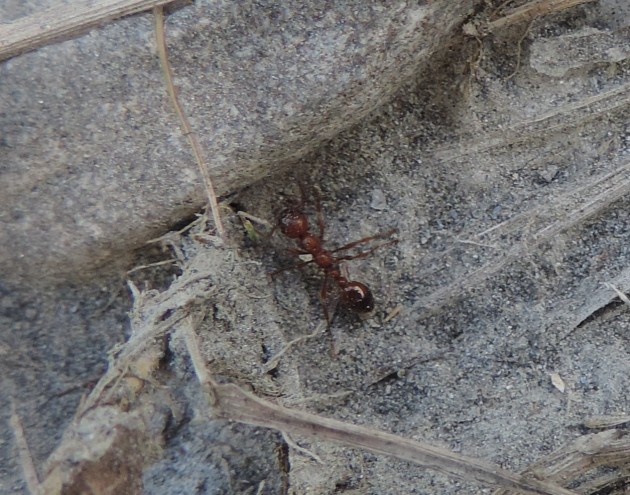 DSCN4412-min.JPG