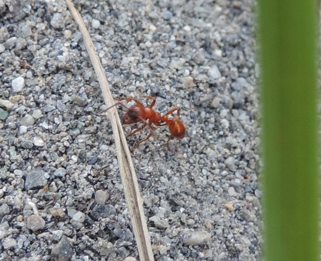 DSCN4421-min.JPG