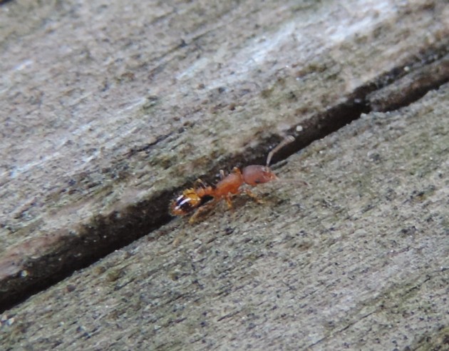 DSCN4865.JPG