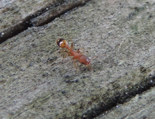 DSCN4866-min.JPG