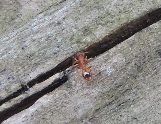 DSCN4863-min.JPG