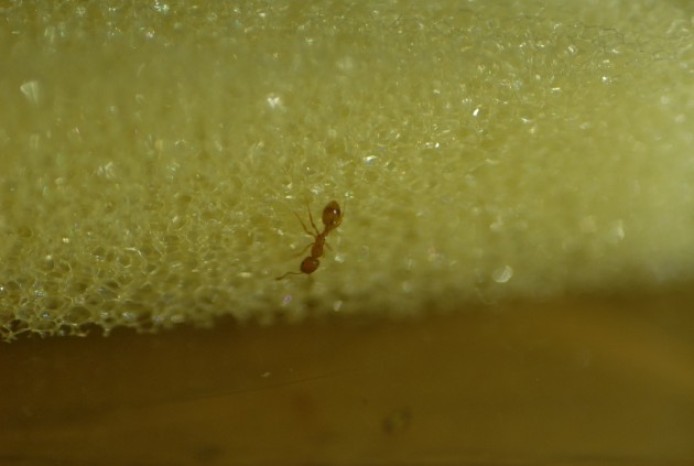 DSC_1773.JPG