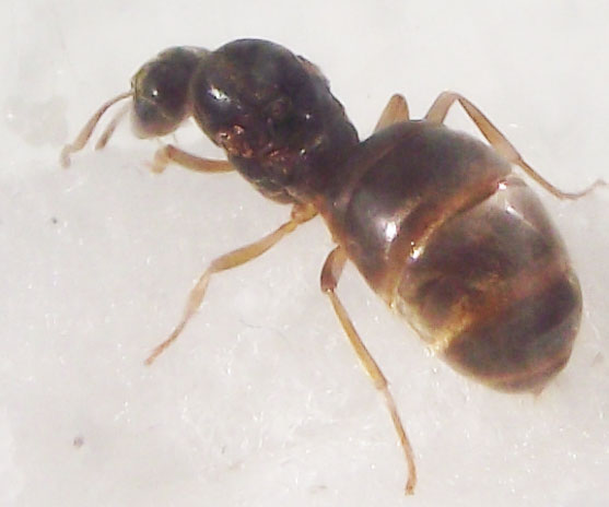 DSCF3796.JPG