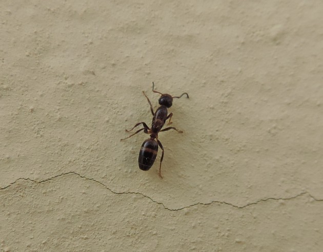 DSCN6380.JPG