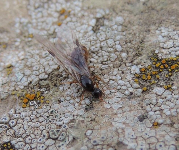 DSCN5777.JPG