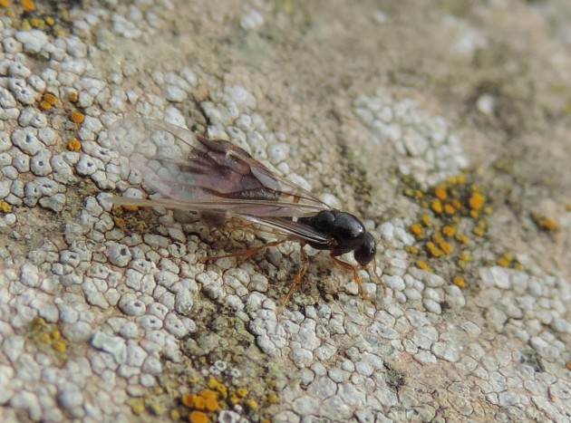 DSCN5779.JPG