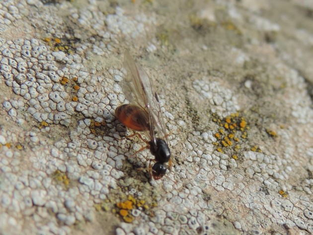 DSCN5778.JPG