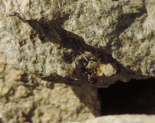DSCN5228.JPG