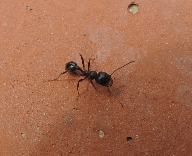 DSCN6719.JPG
