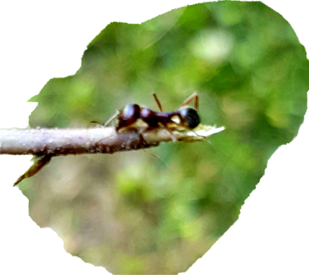 20200521_001009.png