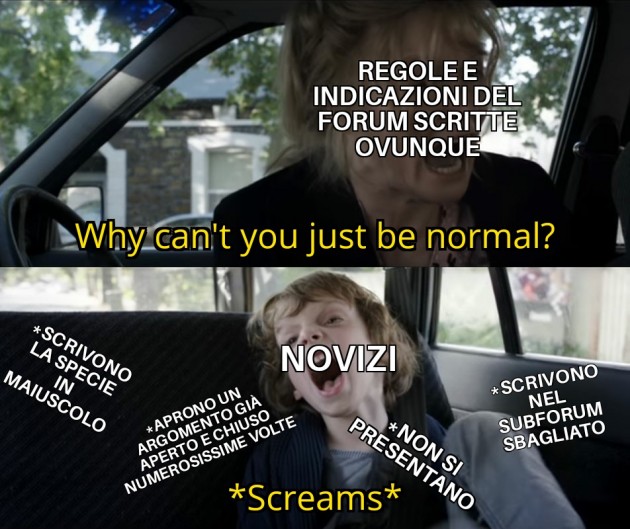 MEME FORMICARIUM NOVIZI.jpg