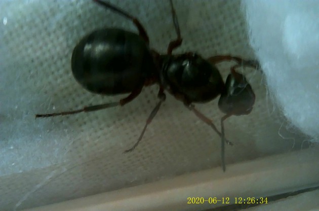 JPG00143.JPG