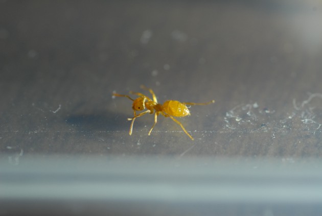 DSC_1925.JPG