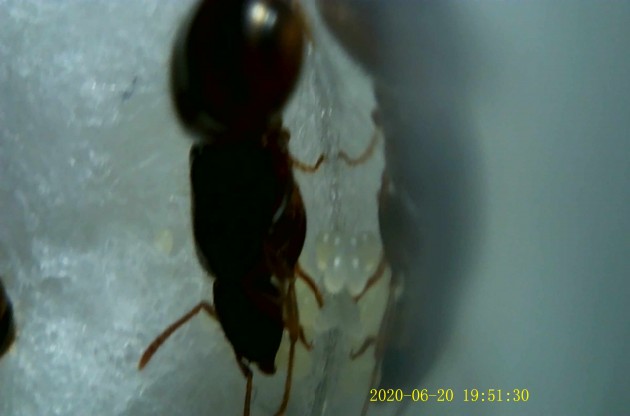 JPG00158.JPG