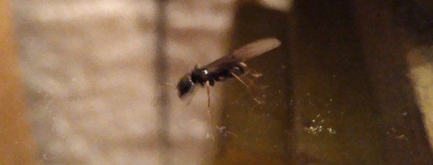 IMG_20200620_234210.jpg