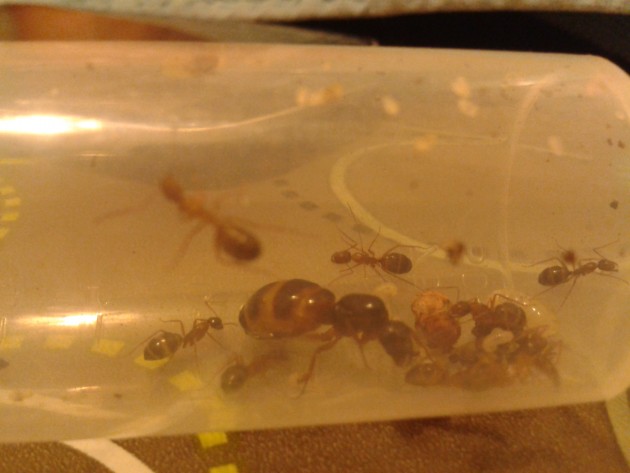 2013-06-03 21.52.24.jpg