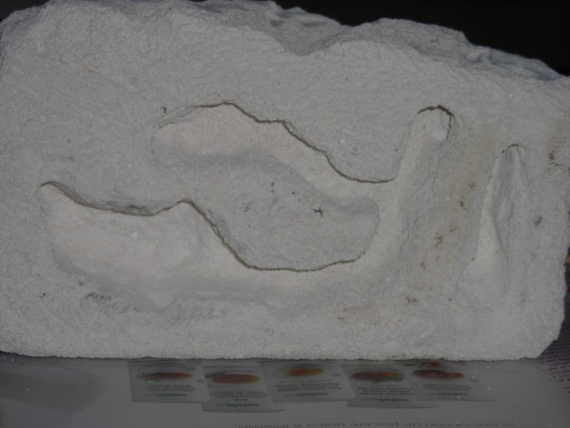 DSCN1588.JPG