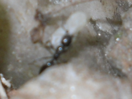 SDC12456.JPG