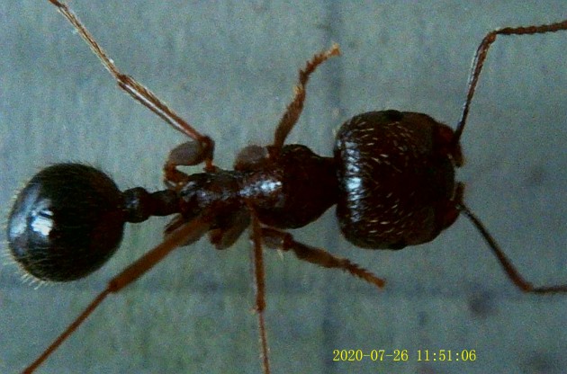 JPG00250.JPG