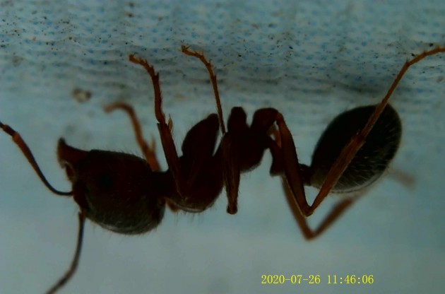 JPG00246.JPG