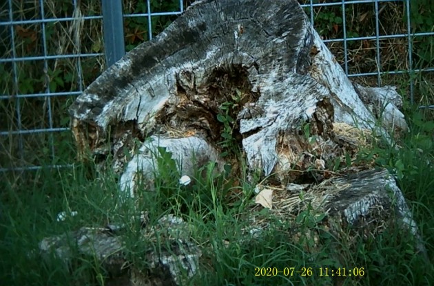 JPG00242.JPG