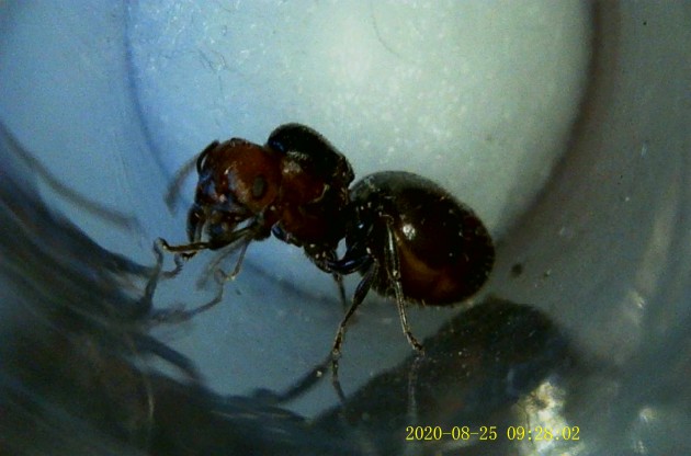 JPG00048.JPG