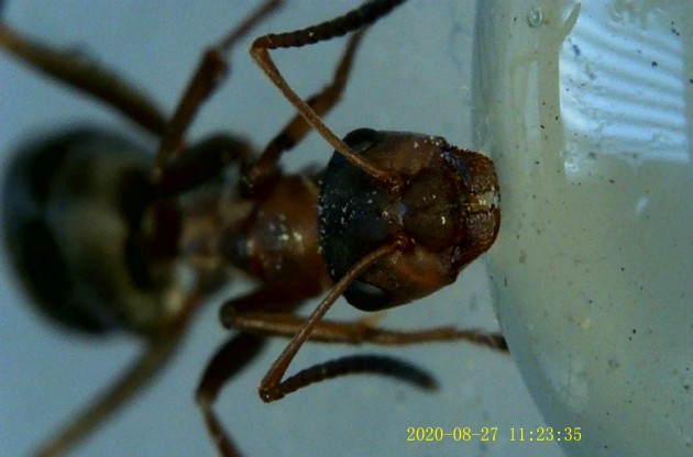 JPG00056.JPG