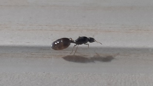 20200913_130356.jpg