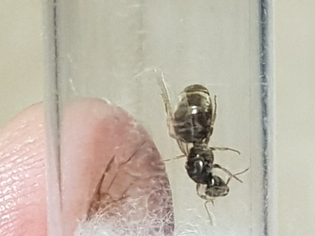 20201011_160408.jpg (1.09 MiB) Osservato 1964 volte 20201011_160408.jpg