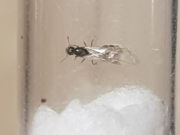 20201011_160432.jpg (1.13 MiB) Osservato 1964 volte 20201011_160432.jpg