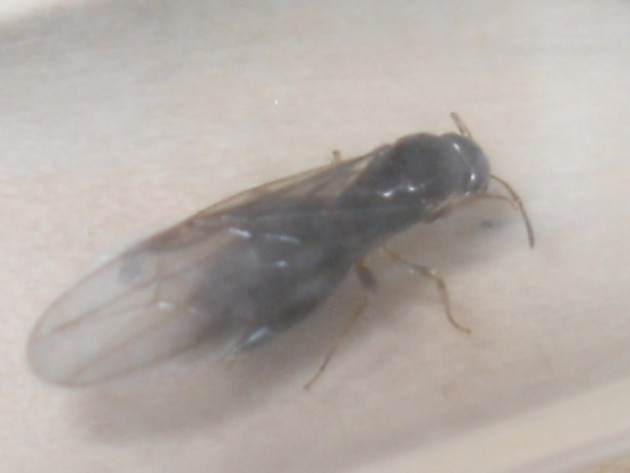 SDC12480.JPG